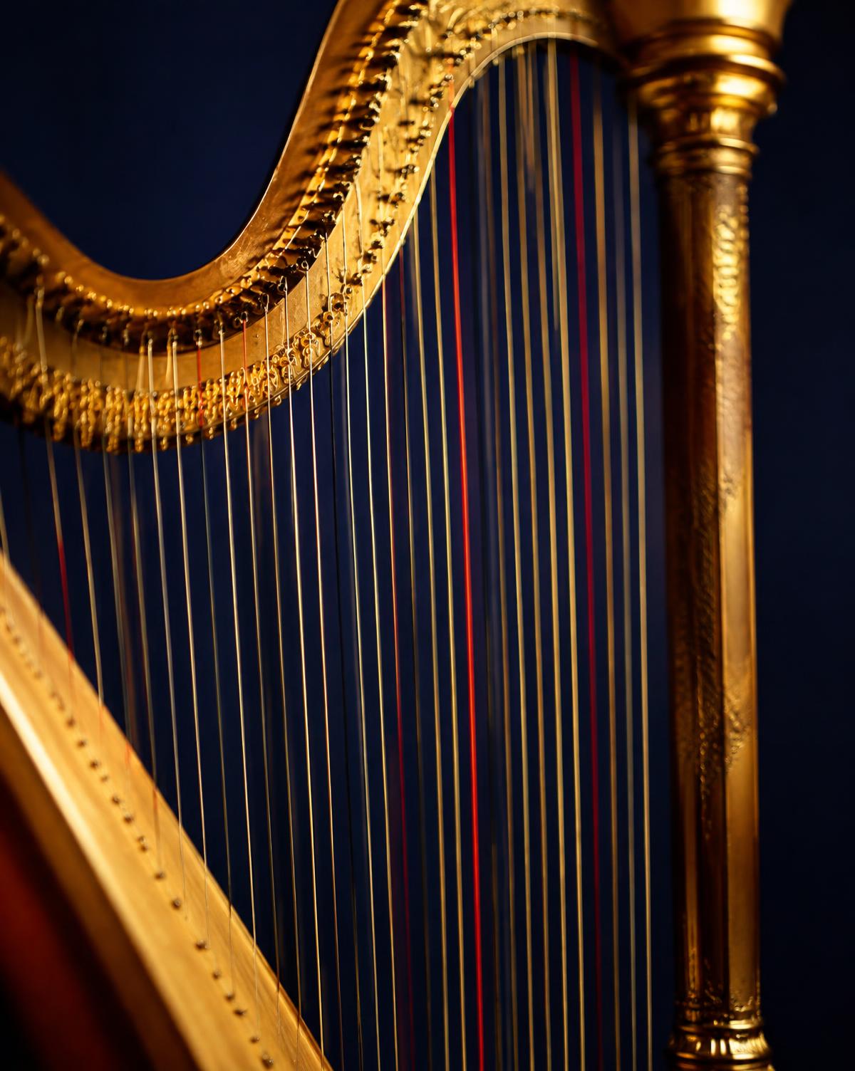 Golden harp strings